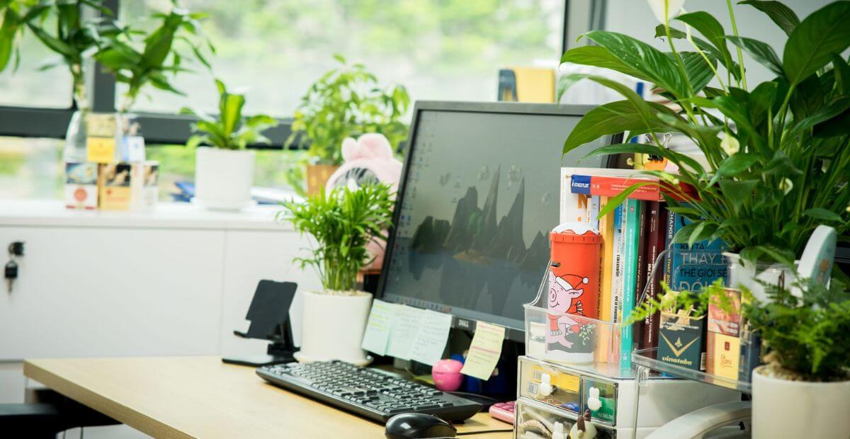 Tip trang trí bàn làm việc văn phòng đẹp và truyền cảm hứng 1 Trang trí bàn làm việc bằng cây xanh và hoa tươi